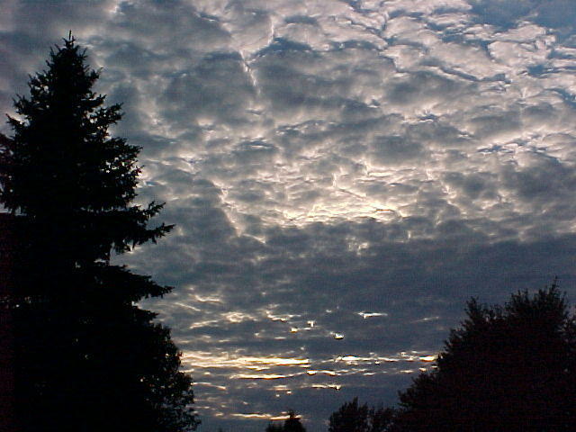 Mvc_005f_007.jpg