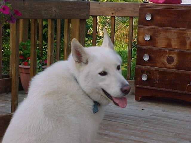 Mvc_001f_002.jpg
