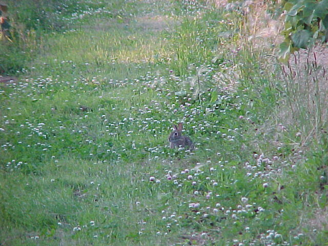 Mvc_005f_001.jpg