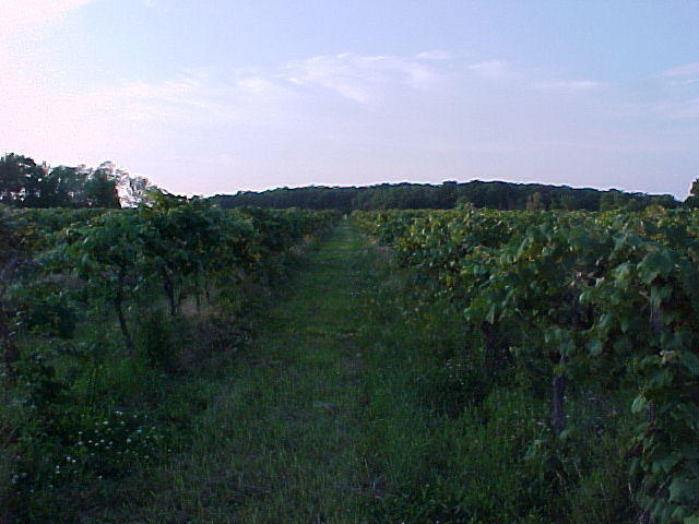 Mvc_006f_001.jpg