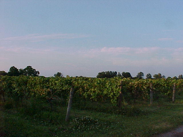 Mvc_007f_001.jpg