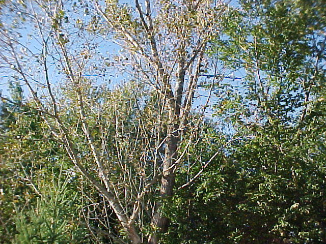 Mvc-009f