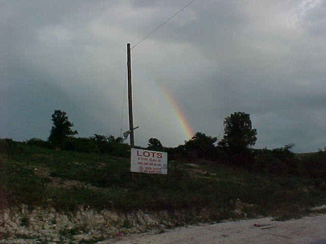 MVC-006F