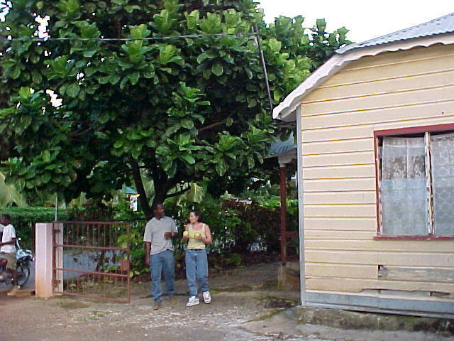 MVC_018F.jpg
