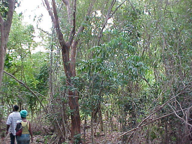 MVC_002F.jpg