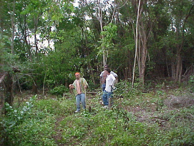 MVC_009F.jpg