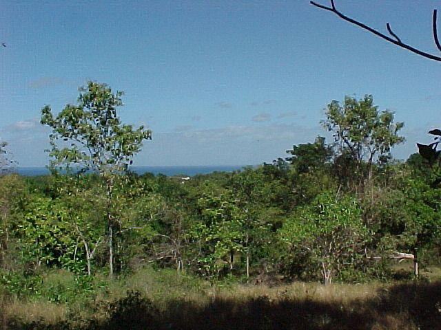 MVC_009F_001.jpg