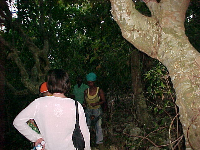 MVC_011F.jpg