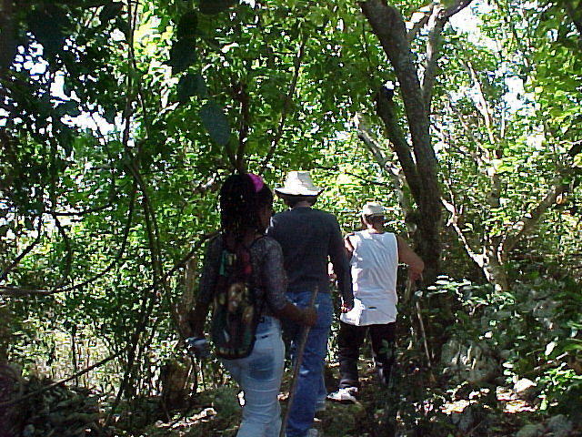 MVC_011F_001.jpg