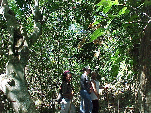 MVC_012F_001.jpg