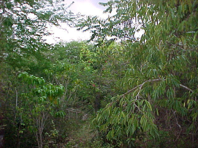 MVC-013F