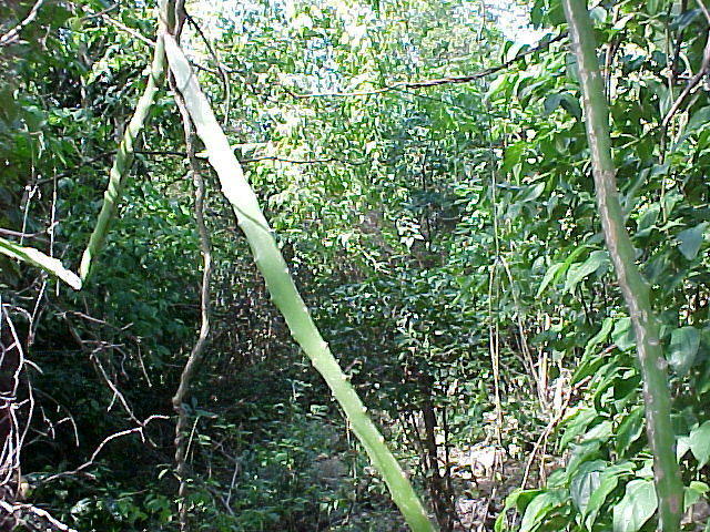 MVC_013F_001.jpg