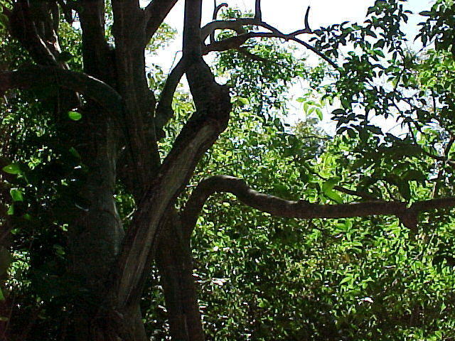 MVC_014F.jpg