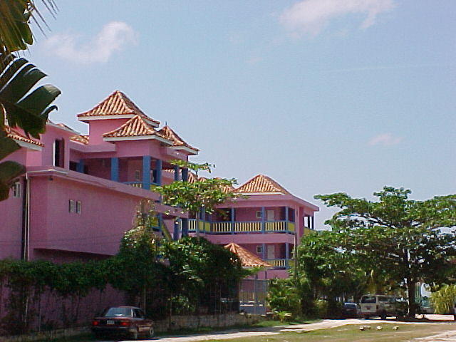 MVC_005F_001.jpg