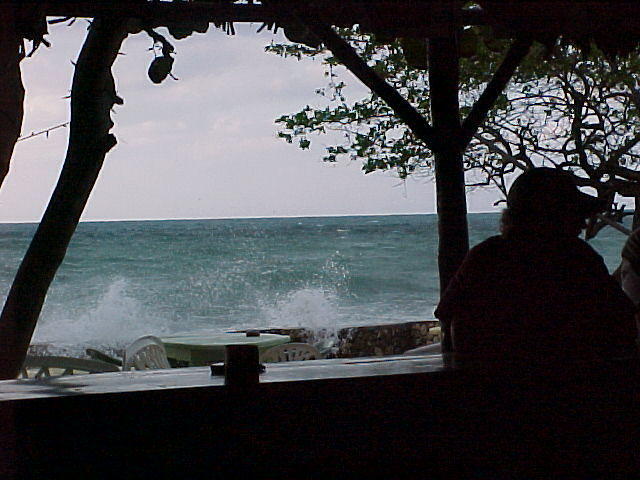 Mvc_001f_003_001.jpg