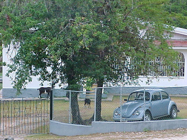 Mvc_003f_004.jpg