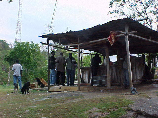 Mvc_008f_003.jpg