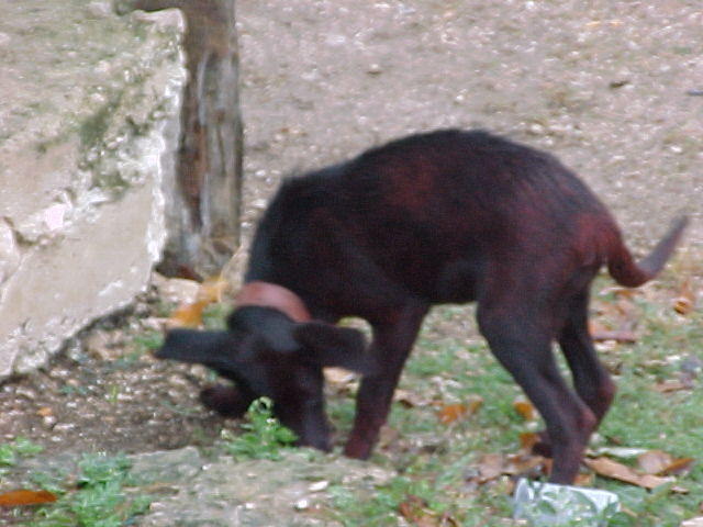 Mvc_011f_001.jpg