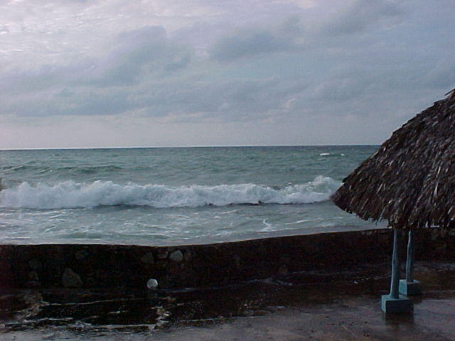 Mvc_016f_002.jpg