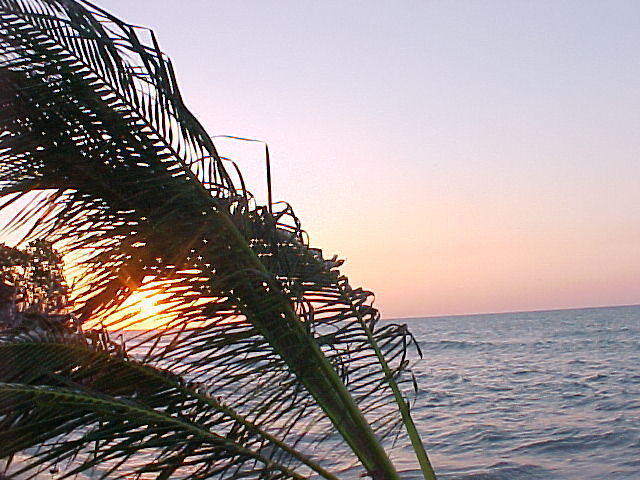 MVC_001F_010.jpg