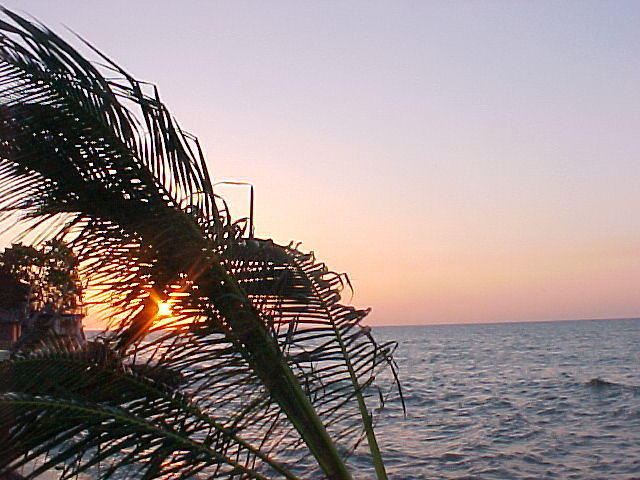 MVC_002F_012.jpg