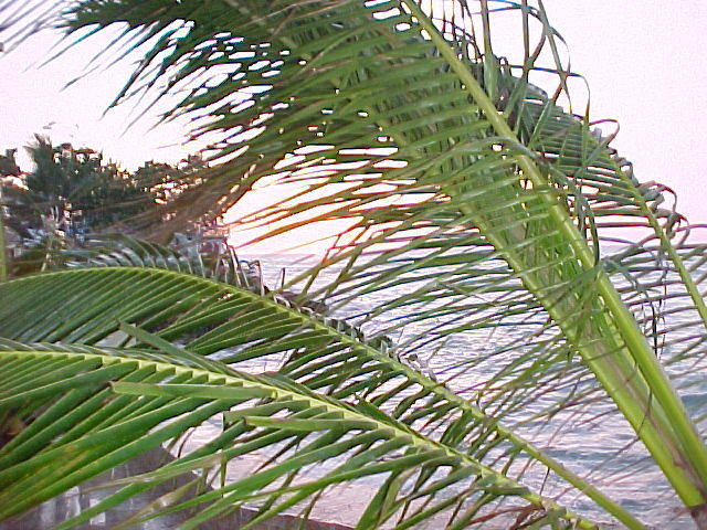 MVC_005F_008.jpg