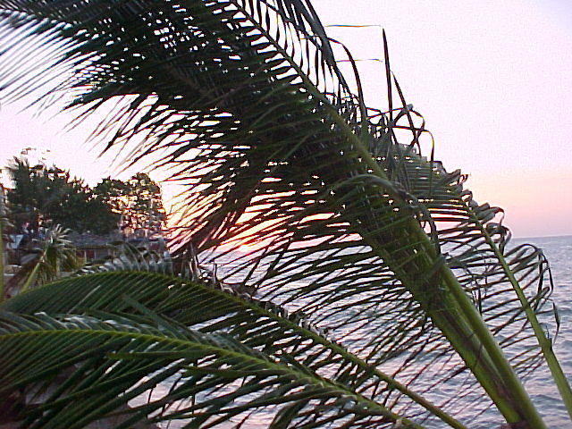 MVC_007F_007.jpg