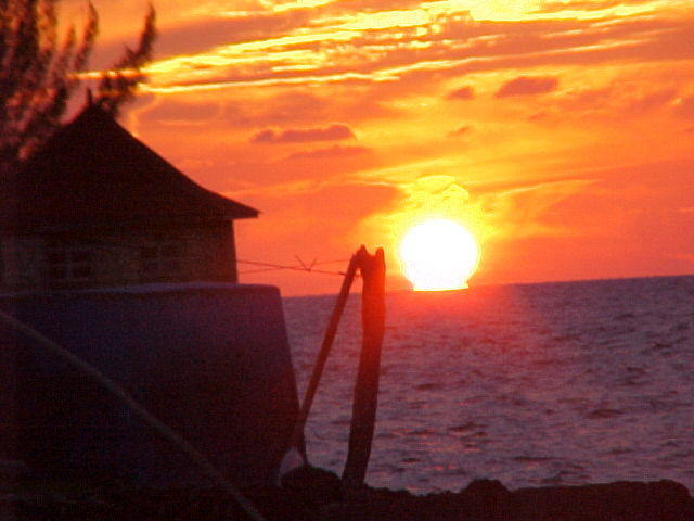 MVC_009F_007.jpg
