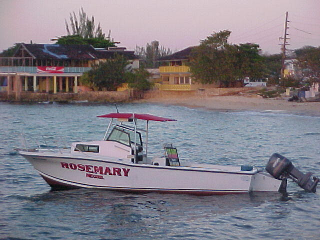 MVC_013F_004.jpg