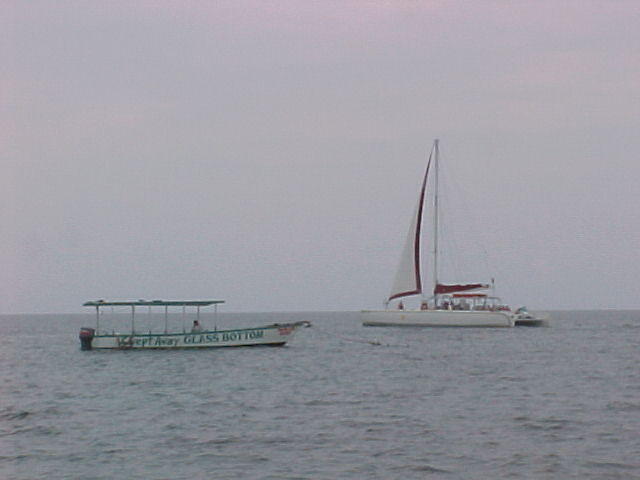MVC_017F_007.jpg