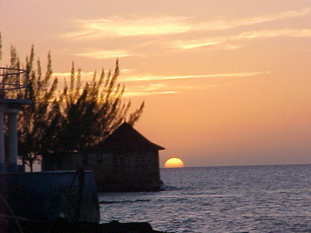 MVC_019F_002.jpg