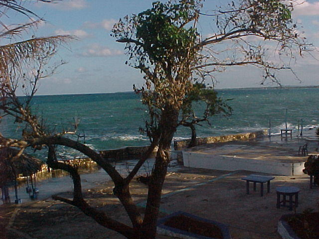 MVC_001F_015.jpg