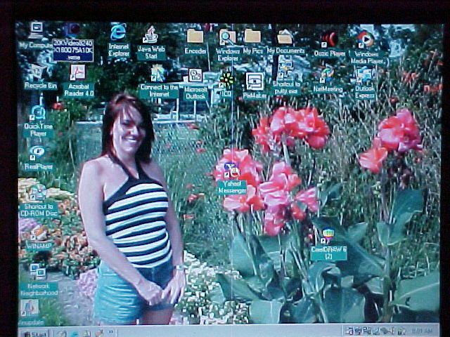 MVC_002F_009.jpg