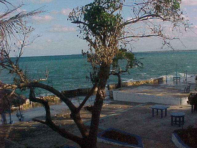 MVC_002F_014.jpg