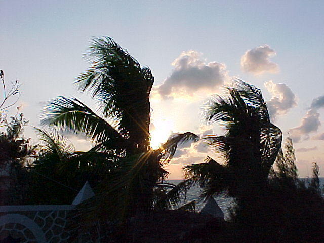MVC_002F_017.jpg