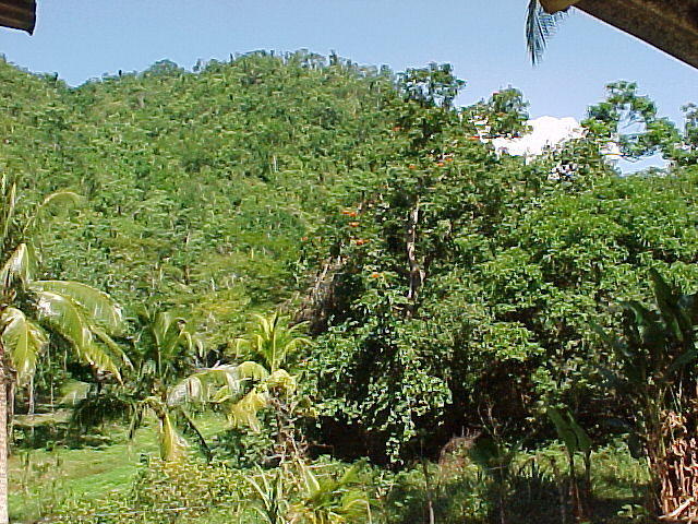 MVC_003F_002.jpg