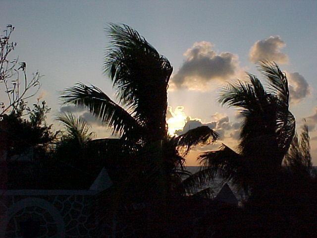 MVC_003F_013.jpg