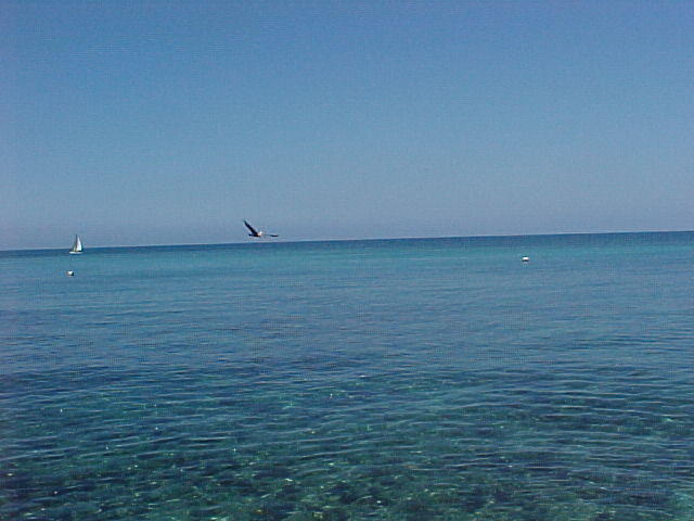 MVC_004F_003.jpg