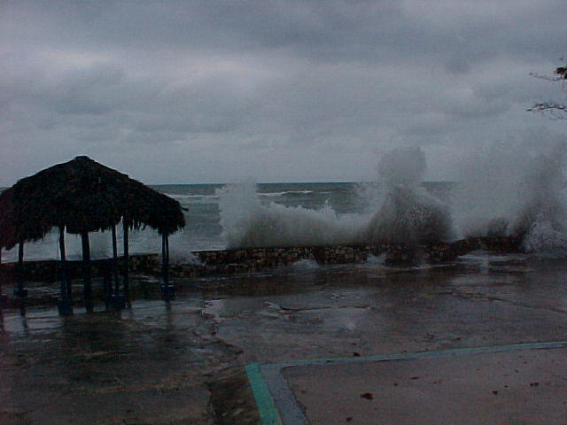 MVC_004F_005.jpg