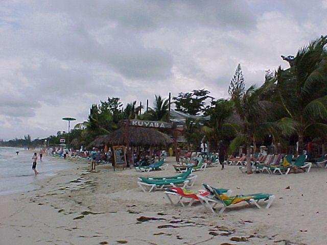 MVC_004F_017.jpg