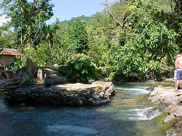MVC_005F_002.jpg