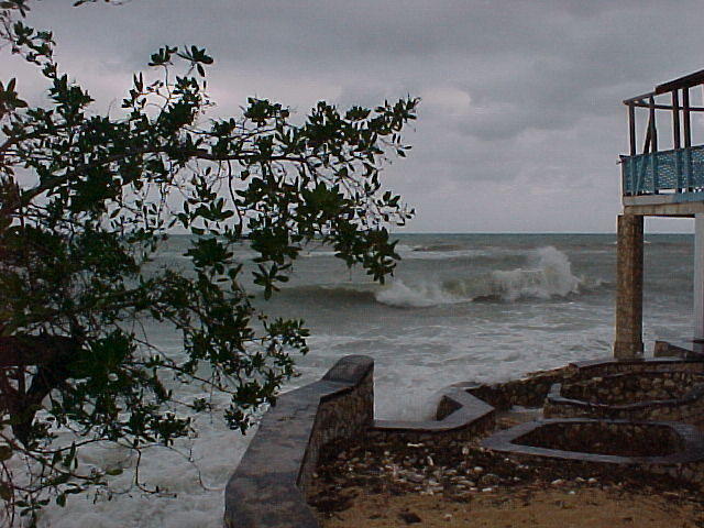MVC_005F_004.jpg