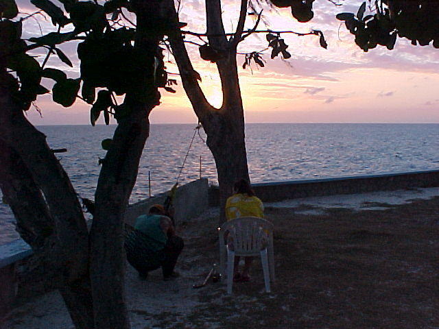 MVC_005F_017.jpg