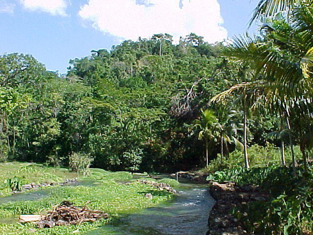 MVC_006F_002.jpg