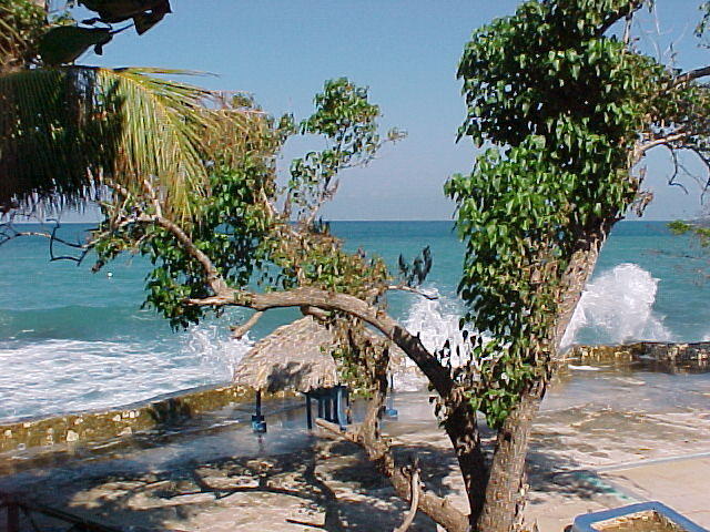 MVC_007F_001.jpg