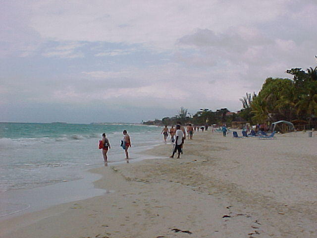 MVC_007F_014.jpg