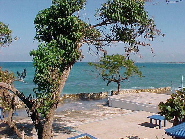 MVC_008F.jpg