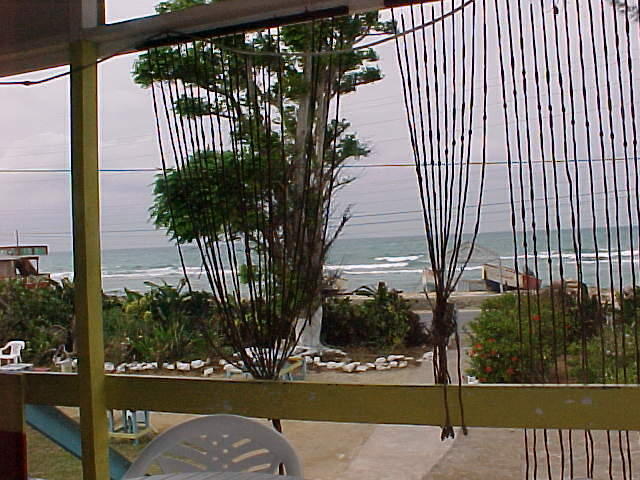 MVC_020F_005.jpg