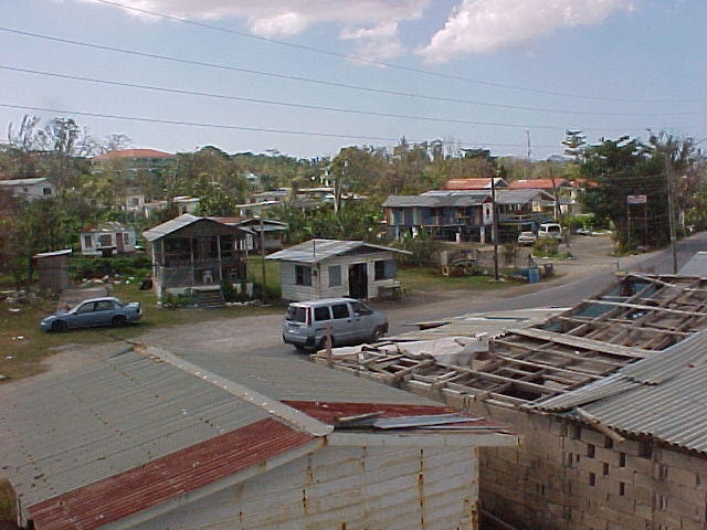 MiYard roof