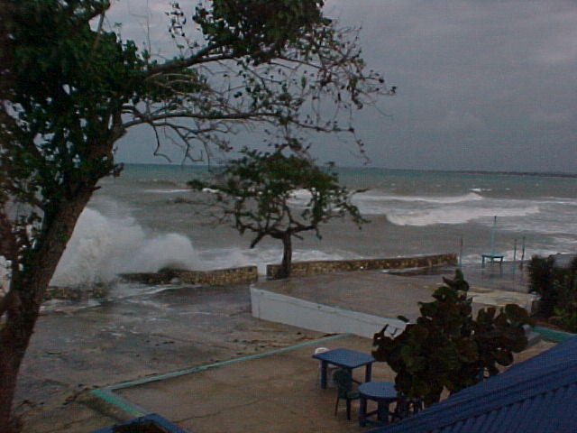MVC_001F_007.jpg